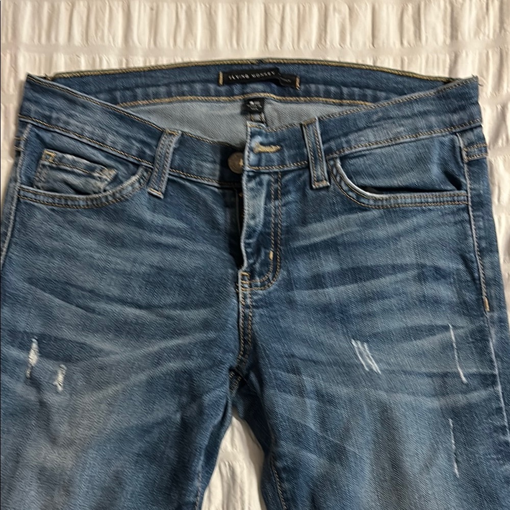 Flying Monkey - image 1